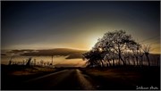 landscape (47)